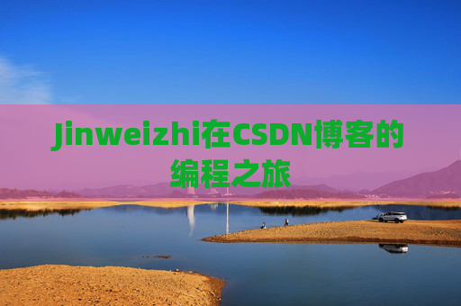 Jinweizhi在CSDN博客的编程之旅